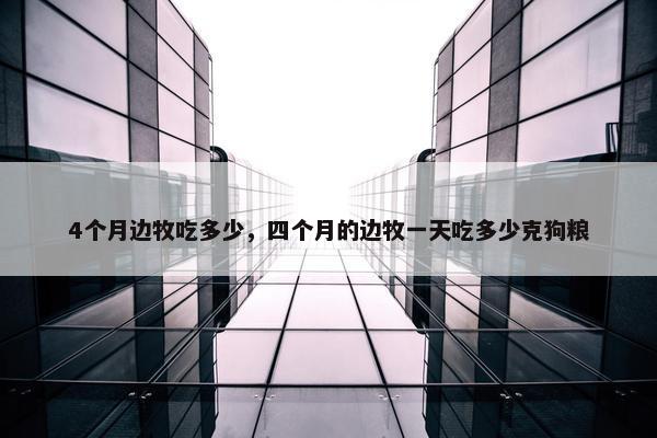 4个月边牧吃多少，四个月的边牧一天吃多少克狗粮