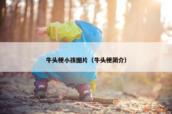 牛头梗小孩图片（牛头梗简介）