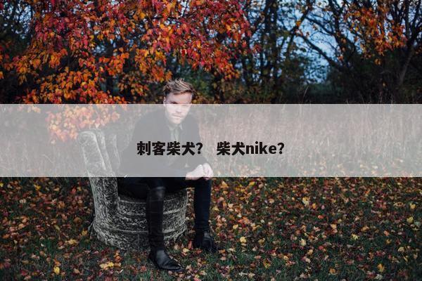 刺客柴犬？ 柴犬nike？
