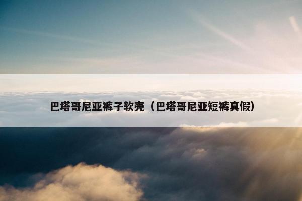 巴塔哥尼亚裤子软壳(巴塔哥尼亚短裤真假)