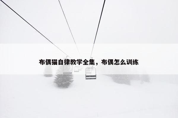 布偶猫自律教学全集，布偶怎么训练