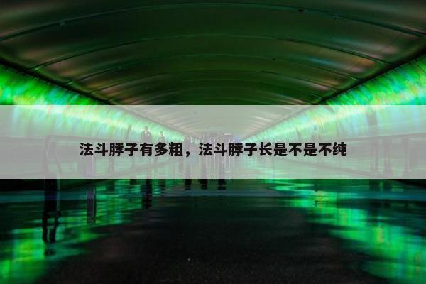 法斗脖子有多粗,法斗脖子长是不是不纯