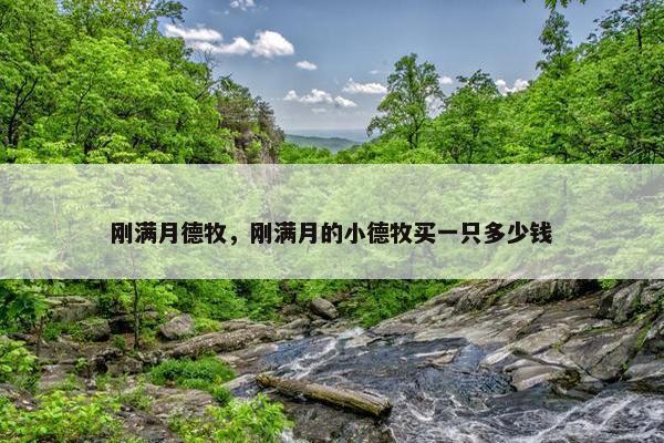 刚满月德牧，刚满月的小德牧买一只多少钱