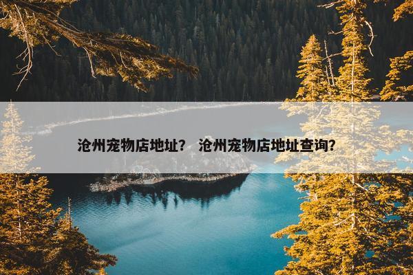 沧州宠物店地址？ 沧州宠物店地址查询？