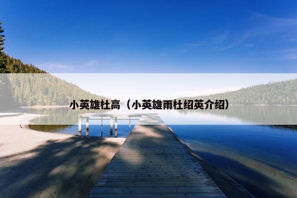 小英雄杜高（小英雄雨杜绍英介绍）