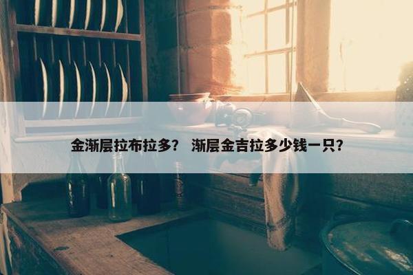 金渐层拉布拉多？ 渐层金吉拉多少钱一只？