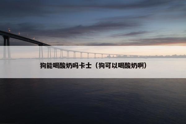 狗能喝酸奶吗卡士(狗可以喝酸奶啊)