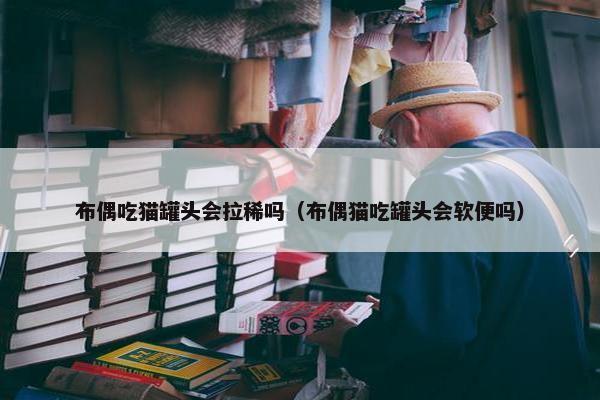布偶吃猫罐头会拉稀吗（布偶猫吃罐头会软便吗）