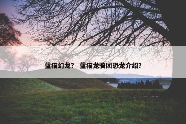 龙猫 第6页