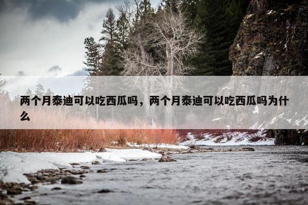 两个月泰迪可以吃西瓜吗,两个月泰迪可以吃西瓜吗为什么