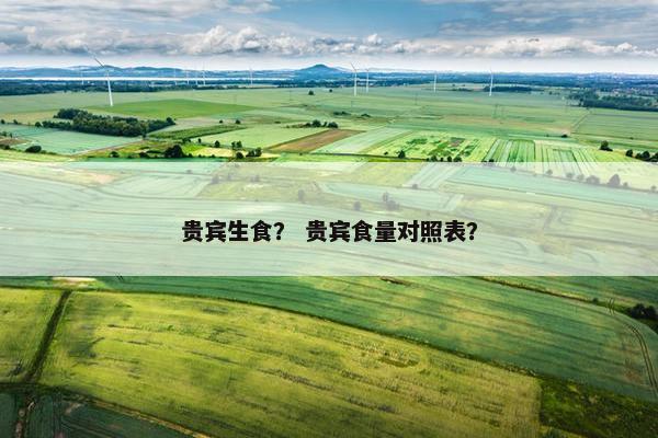 贵宾生食？ 贵宾食量对照表？
