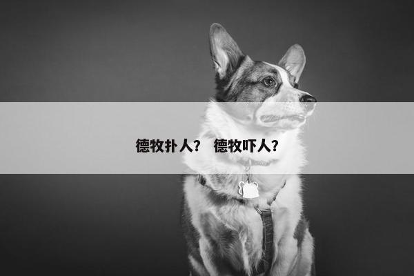 德牧扑人？ 德牧吓人？