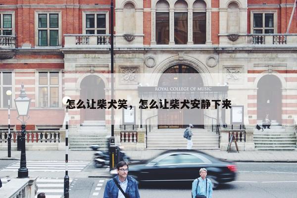怎么让柴犬笑，怎么让柴犬安静下来