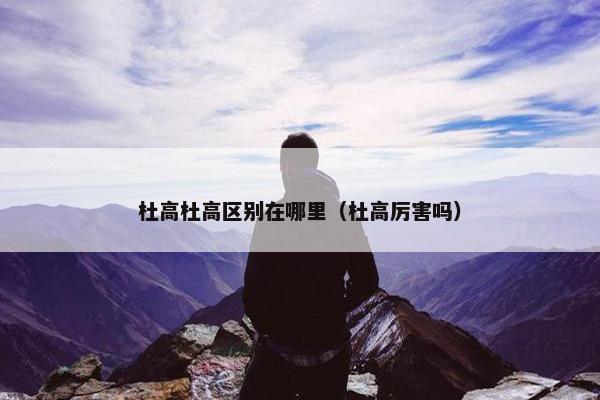 杜高杜高区别在哪里（杜高厉害吗）