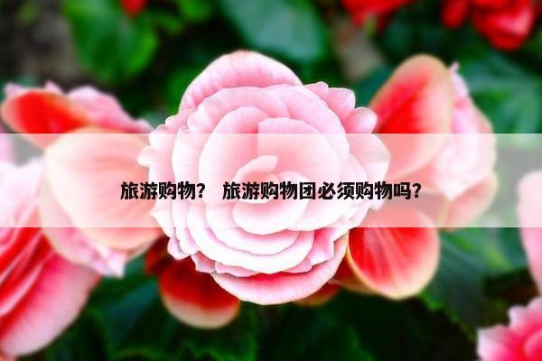 旅游购物？ 旅游购物团必须购物吗？