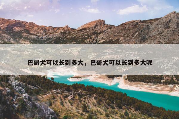 巴哥犬可以长到多大，巴哥犬可以长到多大呢