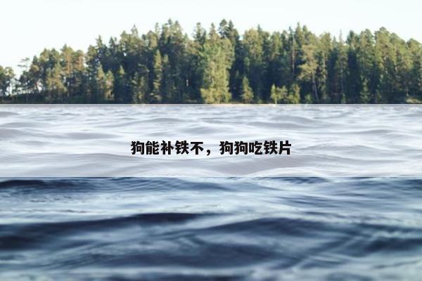 补血