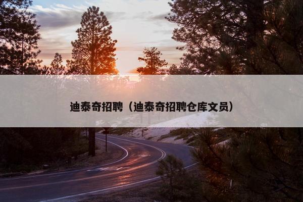 迪泰奇招聘（迪泰奇招聘仓库文员）