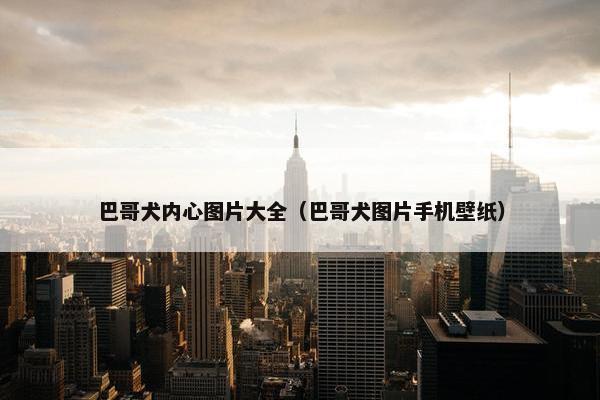 巴哥犬内心图片大全（巴哥犬图片手机壁纸）