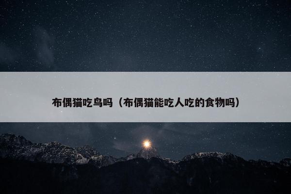 布偶猫吃鸟吗（布偶猫能吃人吃的食物吗）
