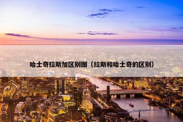 哈士奇拉斯加区别图（拉斯和哈士奇的区别）