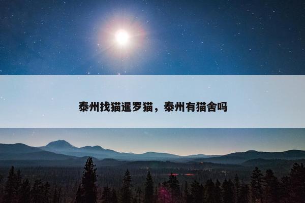 泰州找猫暹罗猫，泰州有猫舍吗