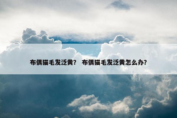 布偶猫毛发泛黄？ 布偶猫毛发泛黄怎么办？