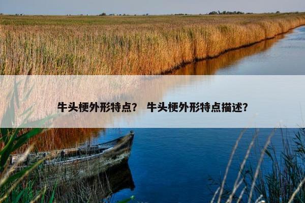 牛头梗外形特点？ 牛头梗外形特点描述？