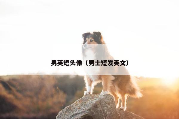 岁岁