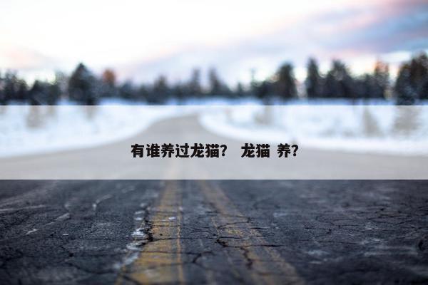 有谁养过龙猫？ 龙猫 养？