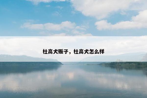 杜高犬贩子，杜高犬怎么样