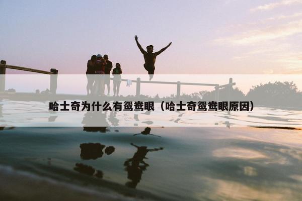 鸳鸯