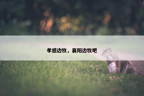 孝感边牧，襄阳边牧吧