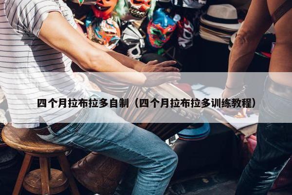 食谱