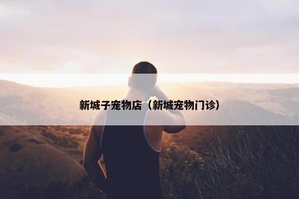新城子