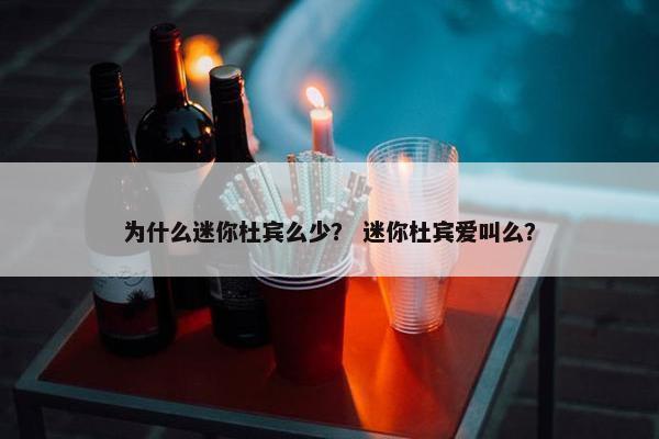 为什么迷你杜宾么少？ 迷你杜宾爱叫么？