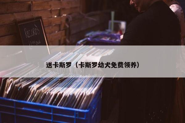 送卡斯罗（卡斯罗幼犬免费领养）