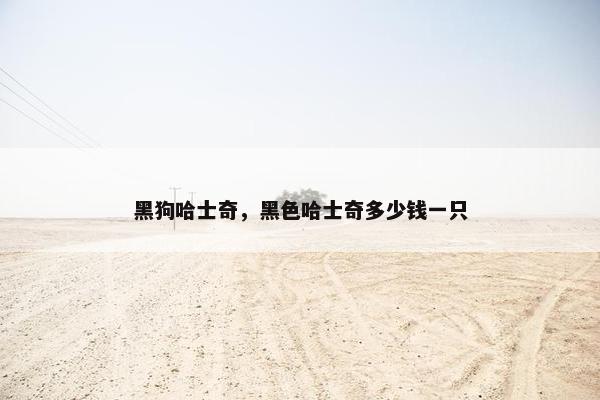 黑狗