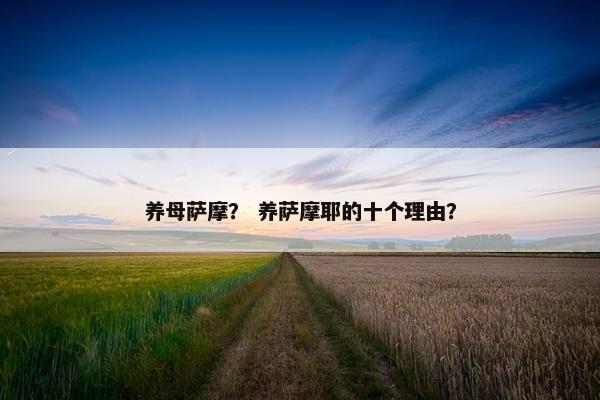养母萨摩？ 养萨摩耶的十个理由？