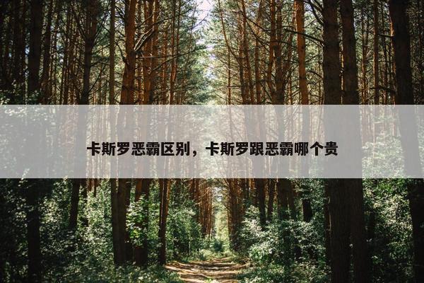 卡斯罗恶霸区别，卡斯罗跟恶霸哪个贵