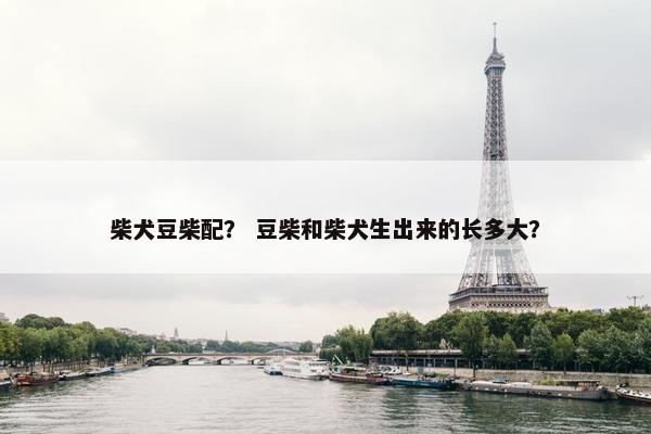 柴犬豆柴配？ 豆柴和柴犬生出来的长多大？