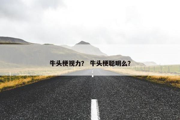 牛头梗视力? 牛头梗聪明么?