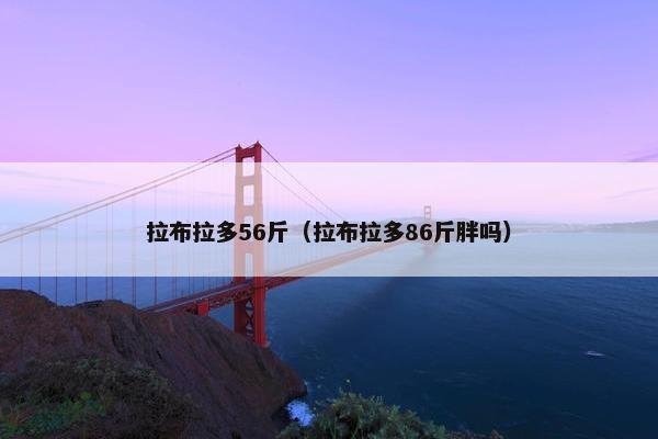 拉布拉多56斤（拉布拉多86斤胖吗）