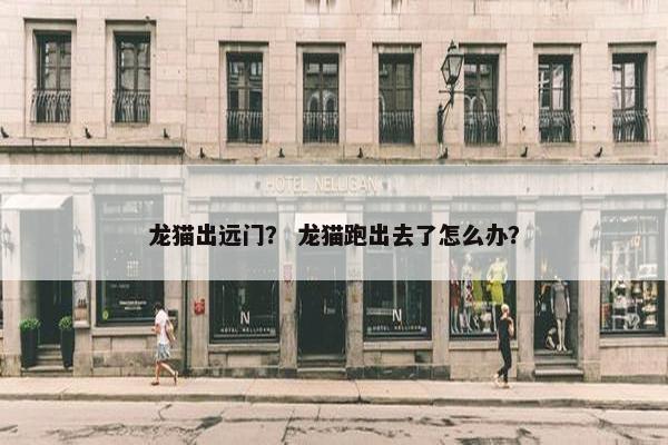 龙猫出远门？ 龙猫跑出去了怎么办？