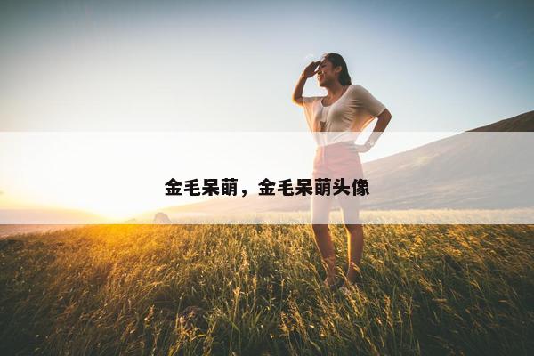 金毛呆萌，金毛呆萌头像