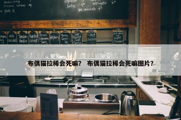 布偶猫拉稀会死嘛？ 布偶猫拉稀会死嘛图片？