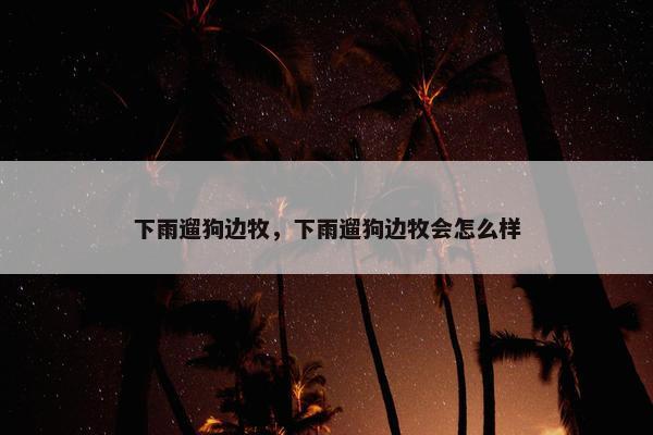 下雨遛狗边牧，下雨遛狗边牧会怎么样