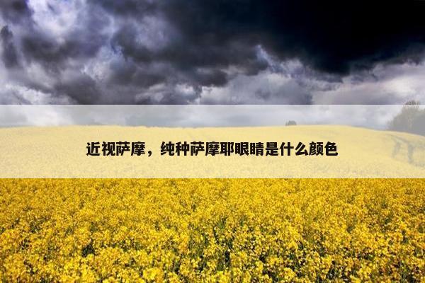 近视萨摩，纯种萨摩耶眼睛是什么颜色