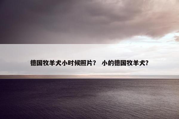 德国牧羊犬小时候照片？ 小的德国牧羊犬？
