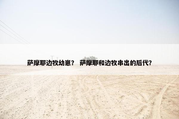 萨摩耶边牧幼崽? 萨摩耶和边牧串出的后代?